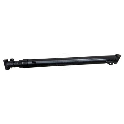 Hoist Cylinder (2)